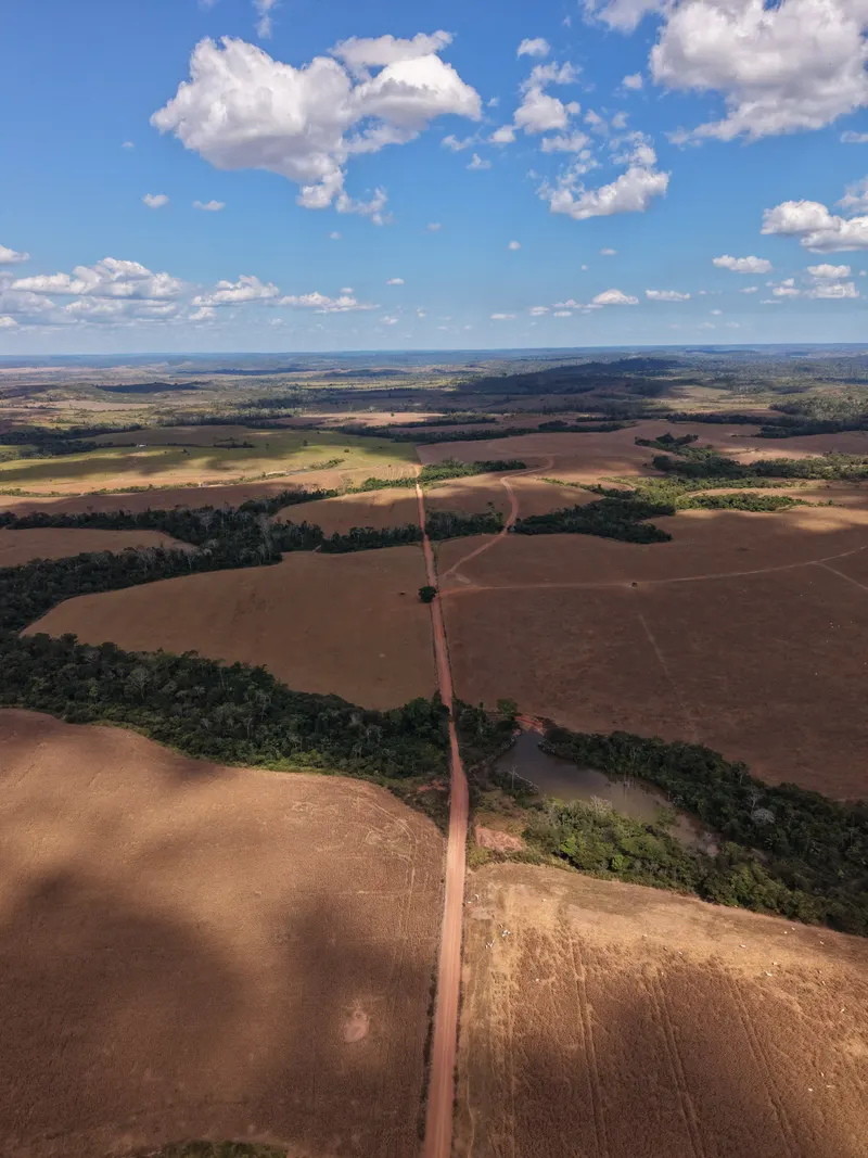 Fazenda 7.000 ha em Mato Grosso